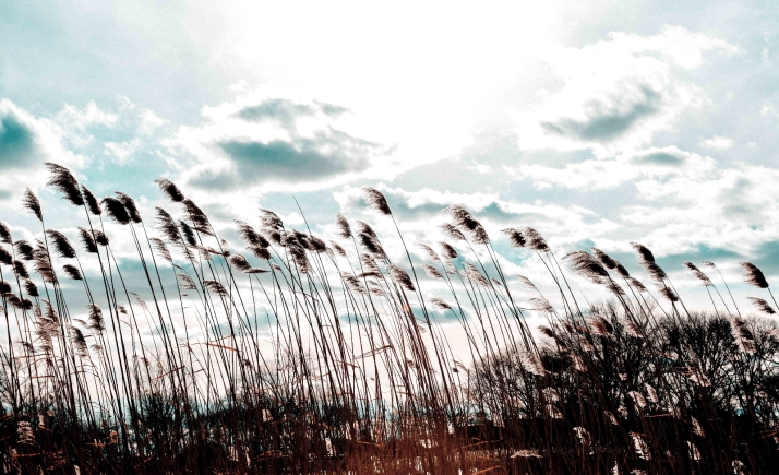 El Burgo soporta vientos que llegan a los 124 km/h