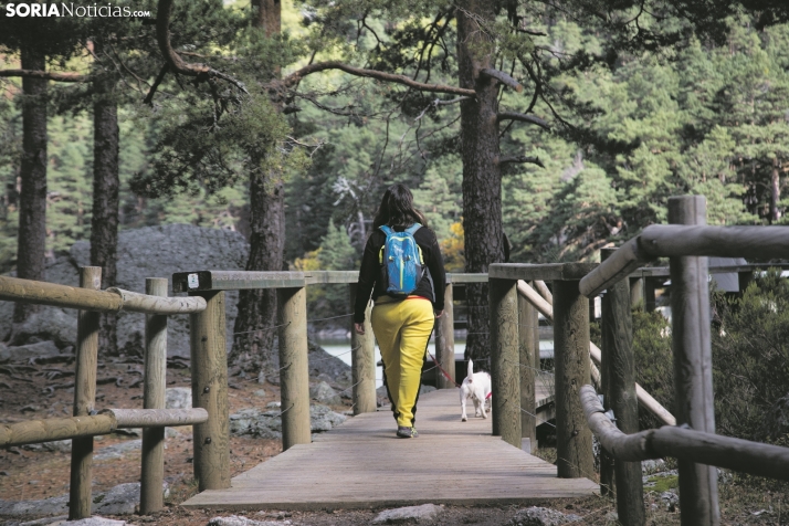 Lunes de abrigo, pero sin lluvia en Soria