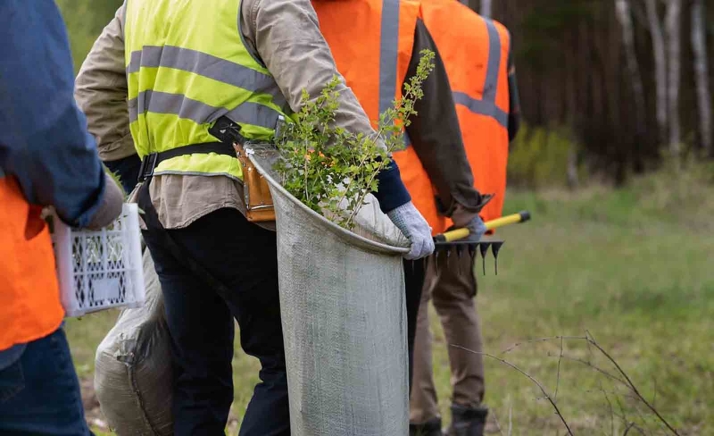 Castilla y León establecerá ayudas de empleo y seguridad en el trabajo en el mundo rural con 13 M&euro;
