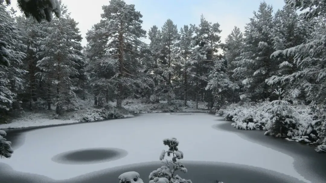 Urbión nevado/ Agustín Sandoval.