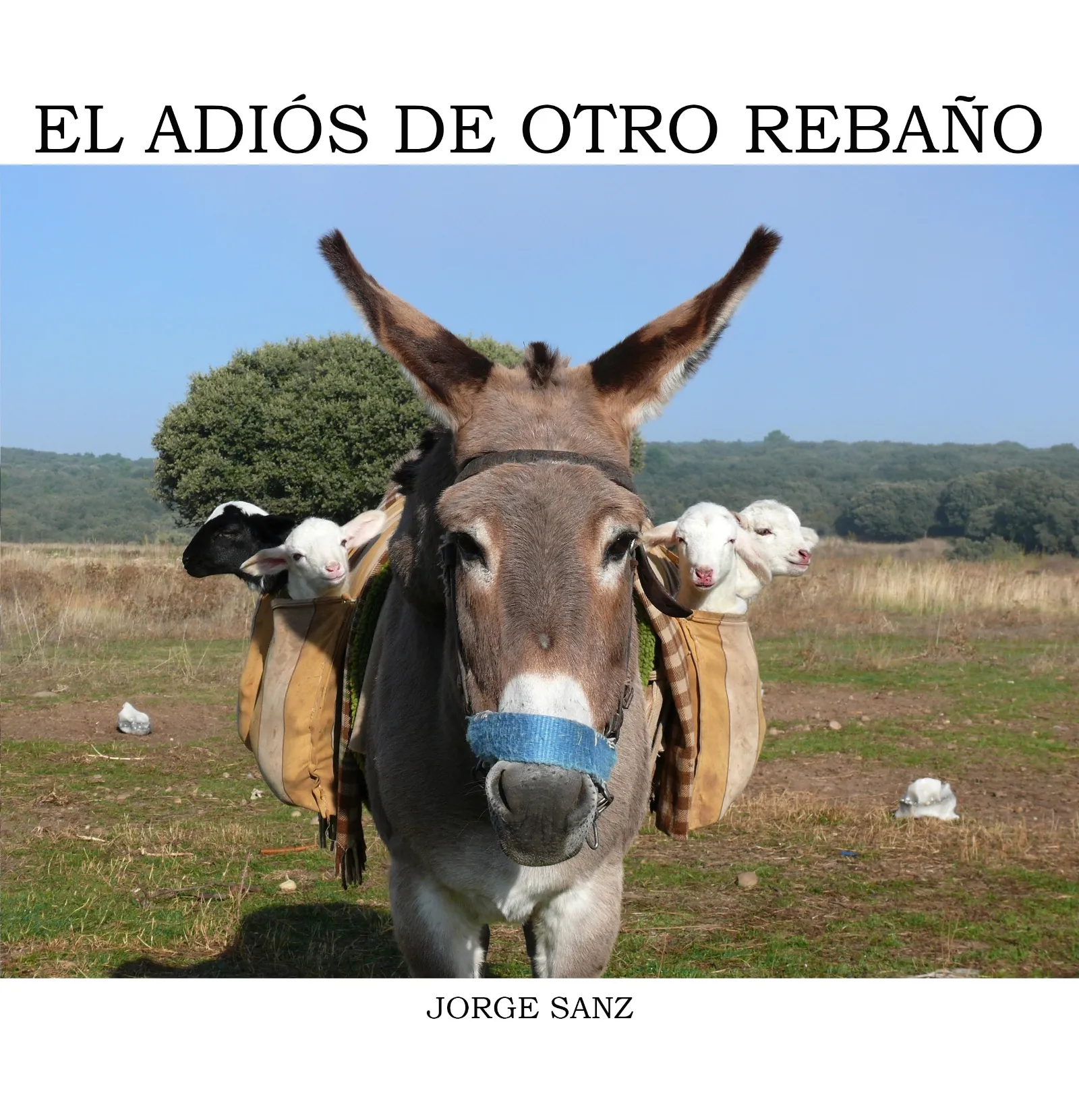 Una de las imágenes del libro. /Jorge Sanz