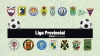 Liga Provincial.