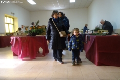 Una imagen de la feria esta mañana de jueves. /PC