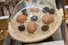 Mañana frenética en el Mercado