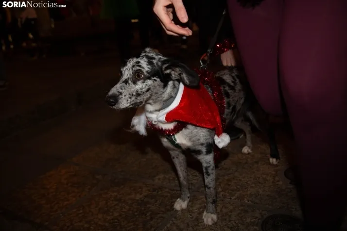 Carrera de Navidad de Soria 2023