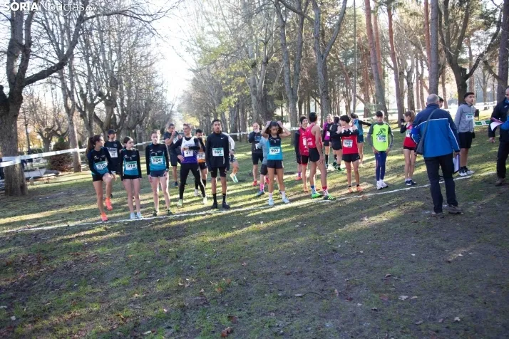 Cross Alameda de Cervantes