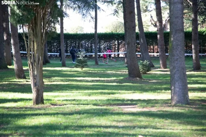 Cross Alameda de Cervantes