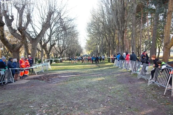 Cross Alameda de Cervantes