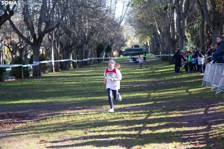 Cross Alameda de Cervantes