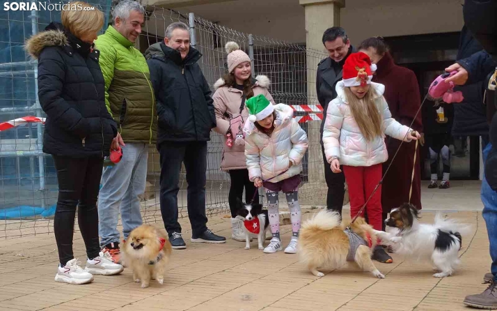 Una imagen del encuentro canino en Almazán. /PC