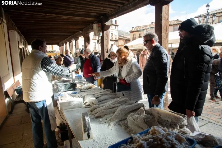 La feria de artesanía de Berlanga de Duero. /SN