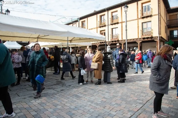 La feria de artesanía de Berlanga de Duero. /SN