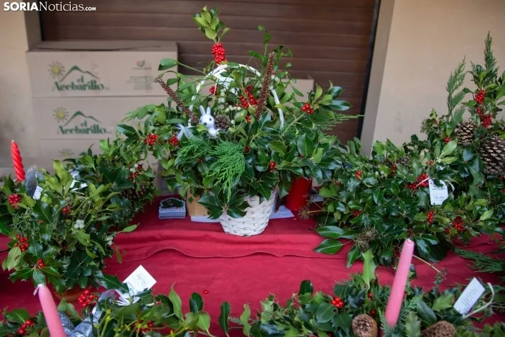 La feria de artesanía de Berlanga de Duero. /SN