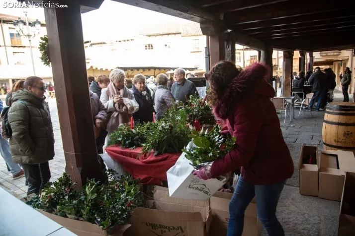 La feria de artesanía de Berlanga de Duero. /SN