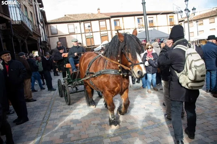 La feria de artesanía de Berlanga de Duero. /SN