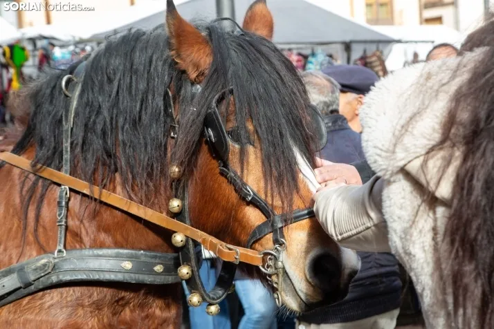La feria de artesanía de Berlanga de Duero. /SN