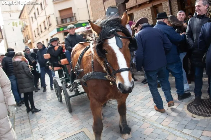 La feria de artesanía de Berlanga de Duero. /SN