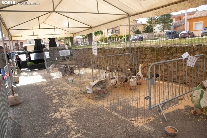 La feria de artesanía de Berlanga de Duero. /SN