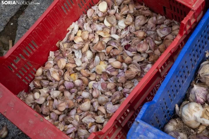 La feria de artesanía de Berlanga de Duero. /SN