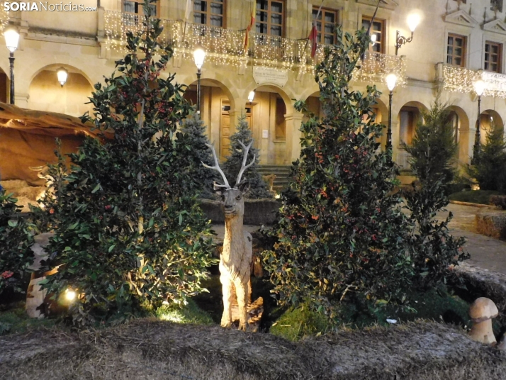 GALER&Iacute;A | Un paseo por la Navidad de Soria capital