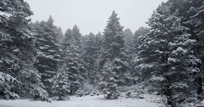 Fotonoticia: Las primeras nieves llegan a Urbión