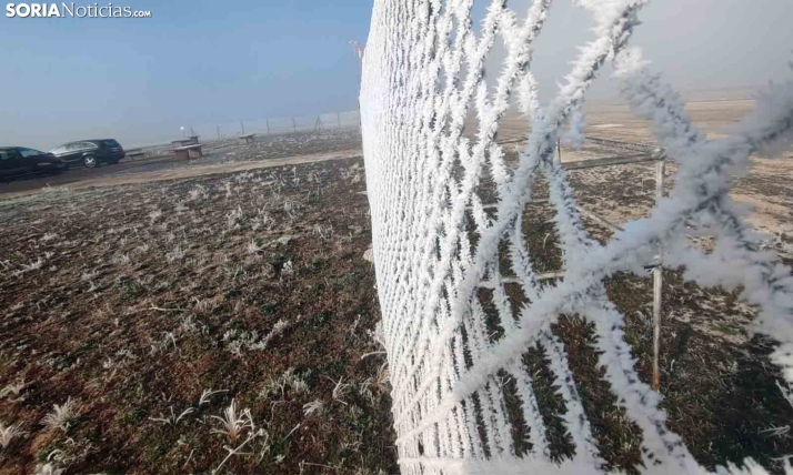 Continúa la amplitud térmica: hoy habrá hasta 17 grados de diferencia