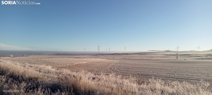 Continúan las heladas generalizadas 