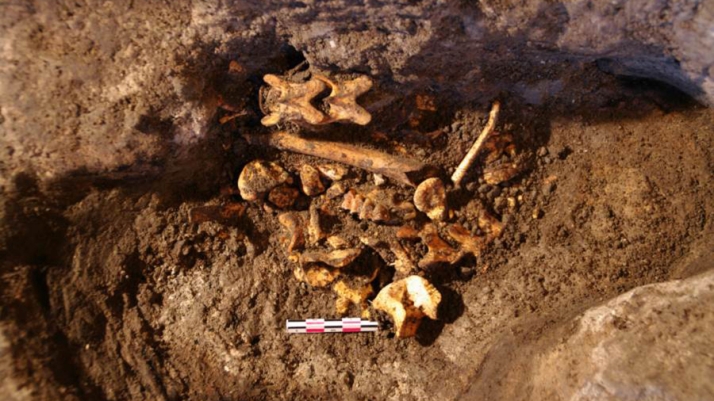 Los primeros pobladores de alta montaña en los inicios del Neolítico ya realizaban actividades ganaderas más allá de la trashumancia