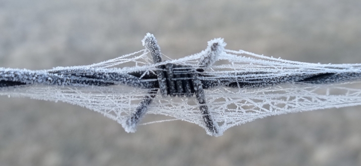 Otra mañana fría para un mediodía agradable en Soria