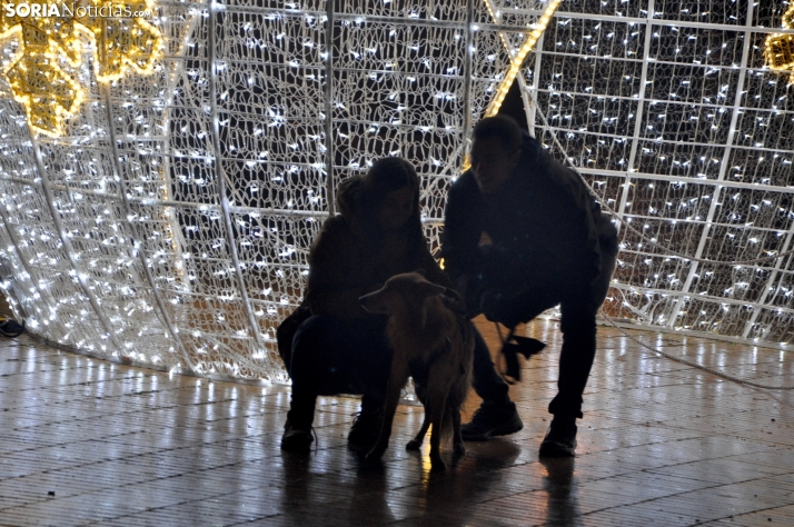 Mercado y luces de Navidad en Almazán. /SN
