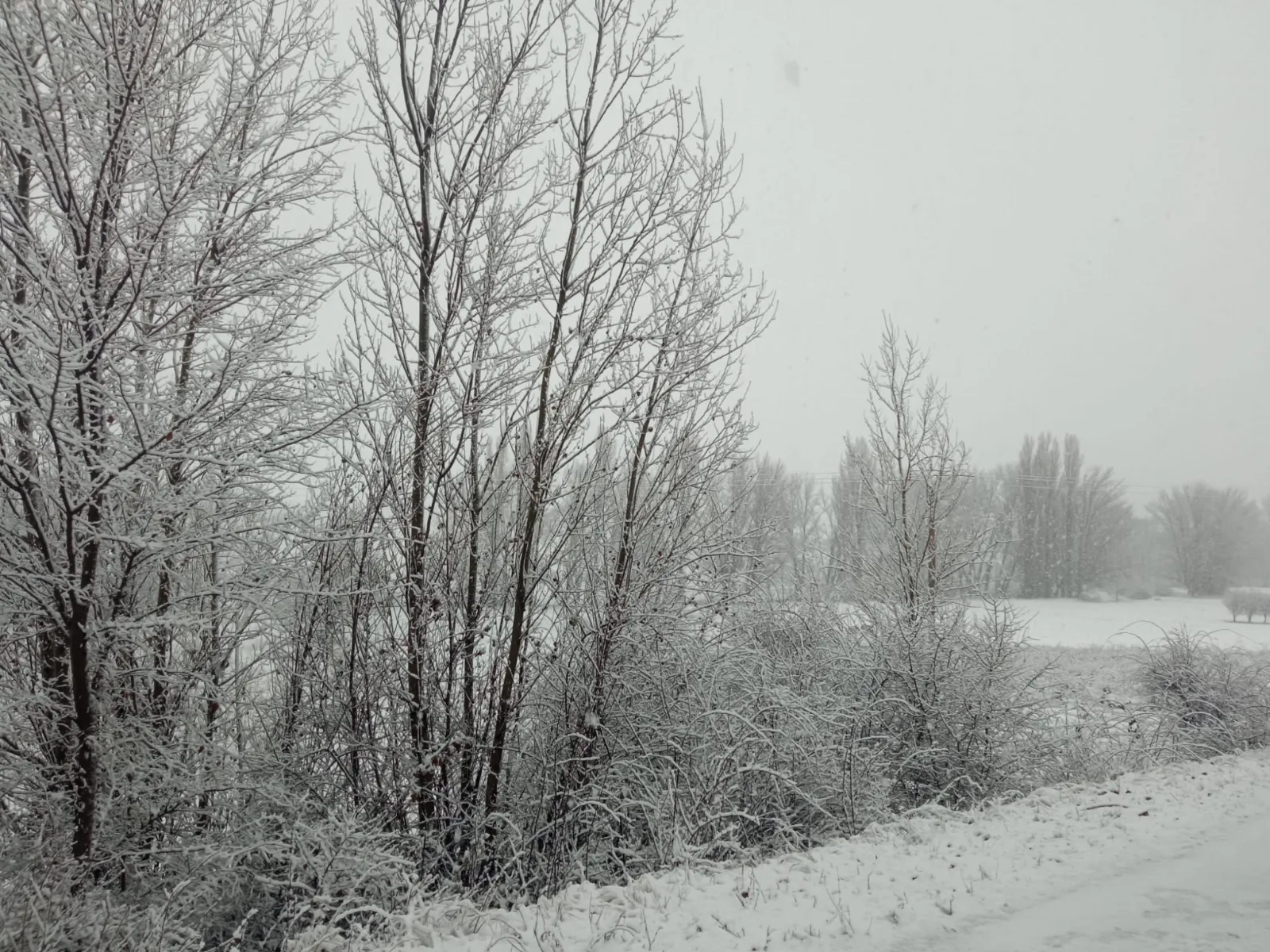 Foto 2 - Los vecinos de un pueblo de Soria logran despejar una carretera cortada por la nevada