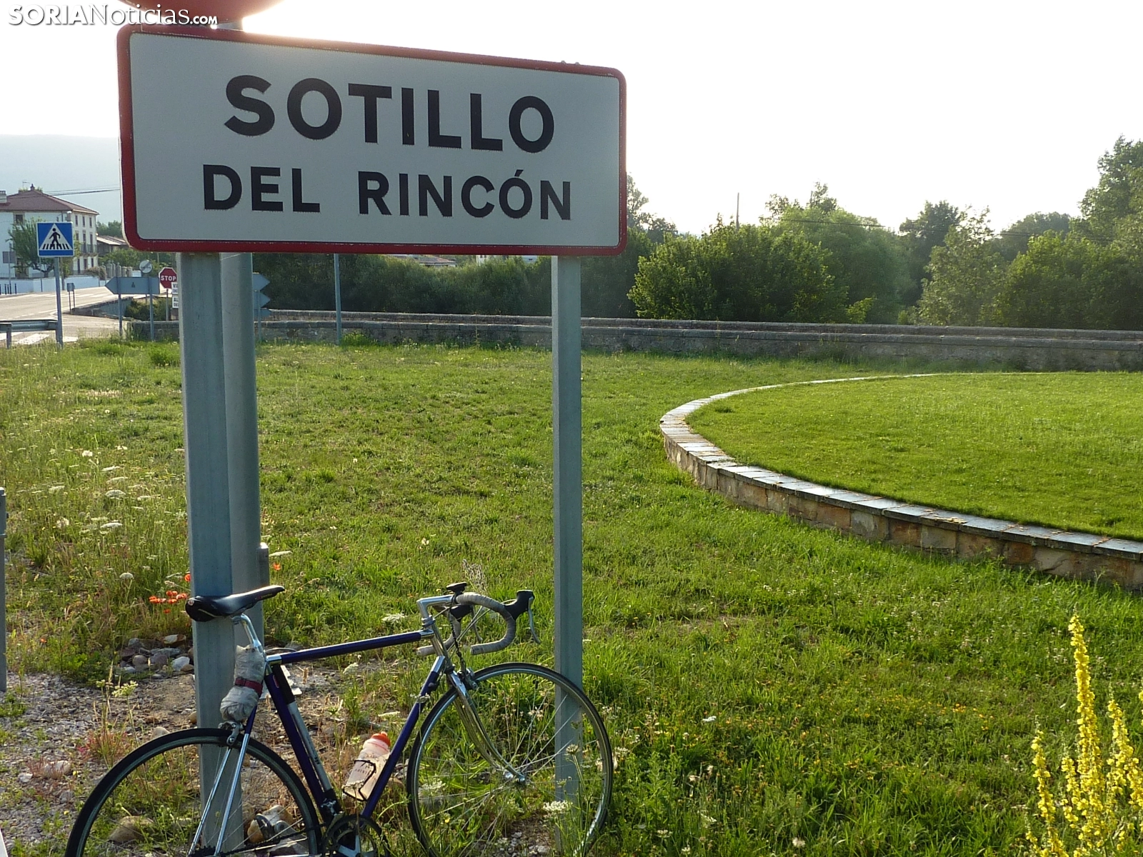 Sotillo del Rincón, enfrentado por los libros de su biblioteca