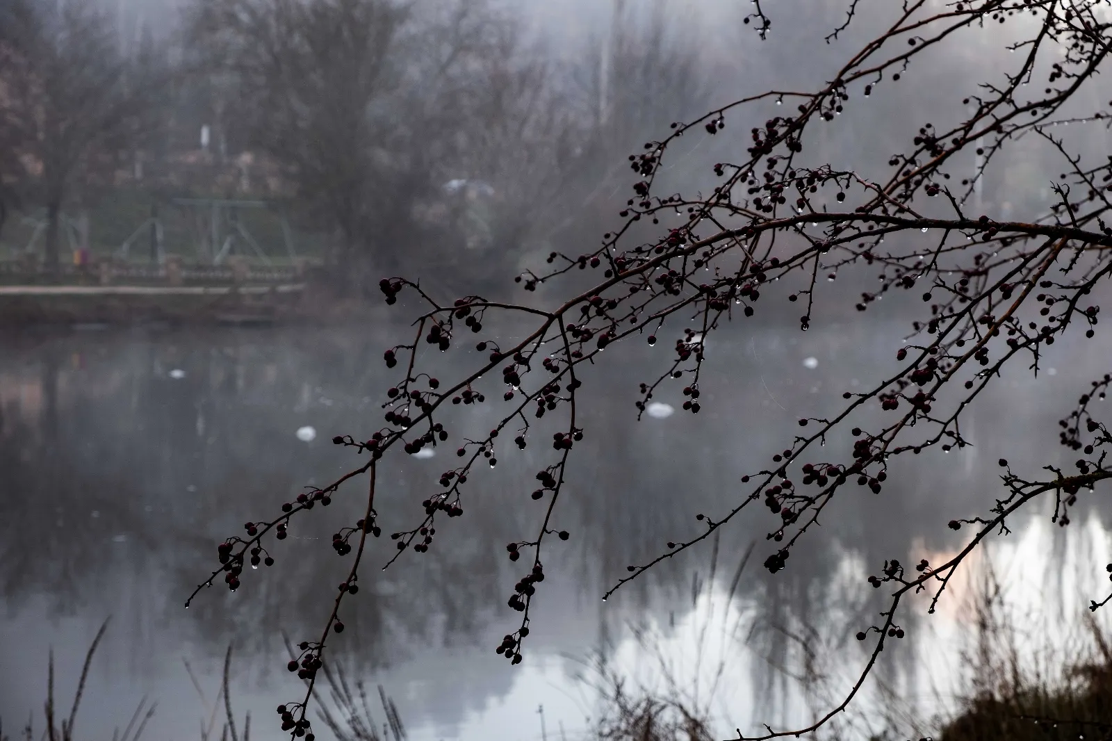 Denuncia vertidos río Duero