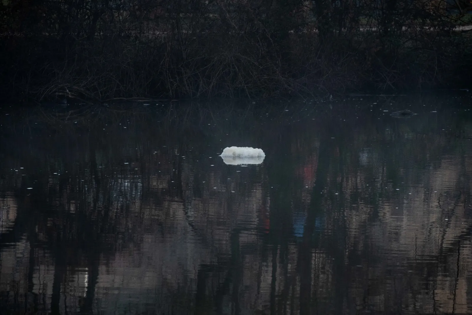 Denuncia vertidos río Duero