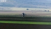 Una gaviota volando en la provincia de Soria. /VFCG