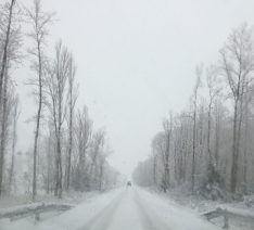 Foto 5 - Los vecinos de un pueblo de Soria logran despejar una carretera cortada por la nevada