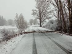 Foto 4 - Los vecinos de un pueblo de Soria logran despejar una carretera cortada por la nevada