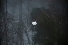 Denuncia vertidos río Duero