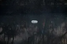 Denuncia vertidos río Duero