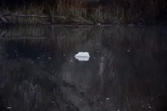 Denuncia vertidos río Duero