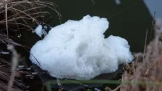 Denuncia vertidos río Duero