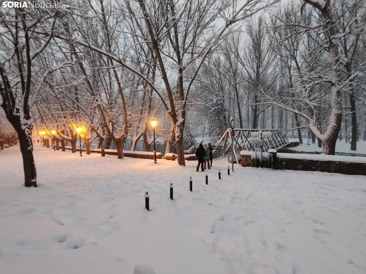 Río Duero nevado. 