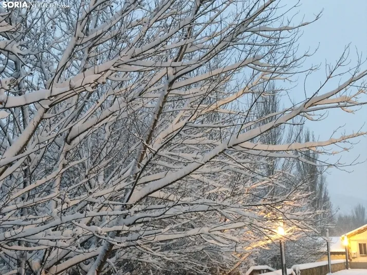 El Duero, la nieve y San Saturio; un escenario de pel&iacute;cula