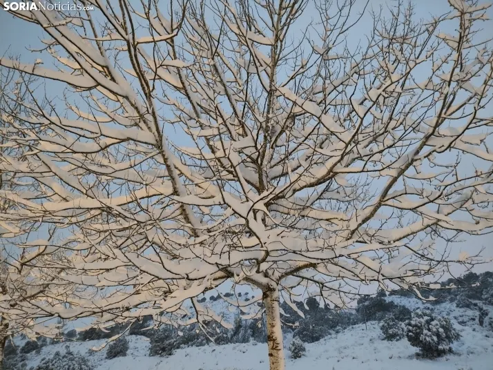 El Duero, la nieve y San Saturio; un escenario de pel&iacute;cula