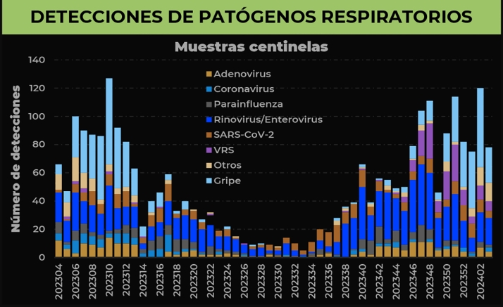 Castilla y León constata un aumento de infección por metapneumovirus en población infantil 