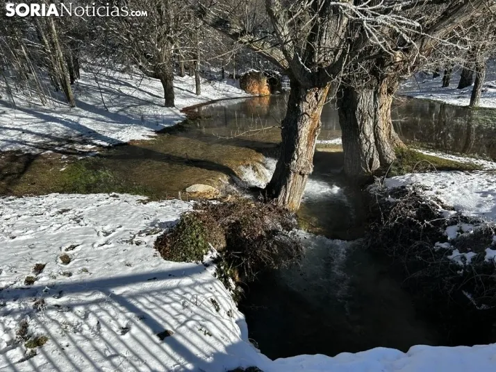 El entorno de la Toba