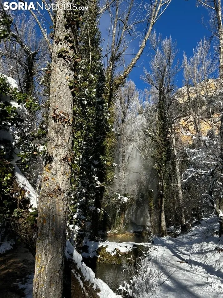 El entorno de la Toba