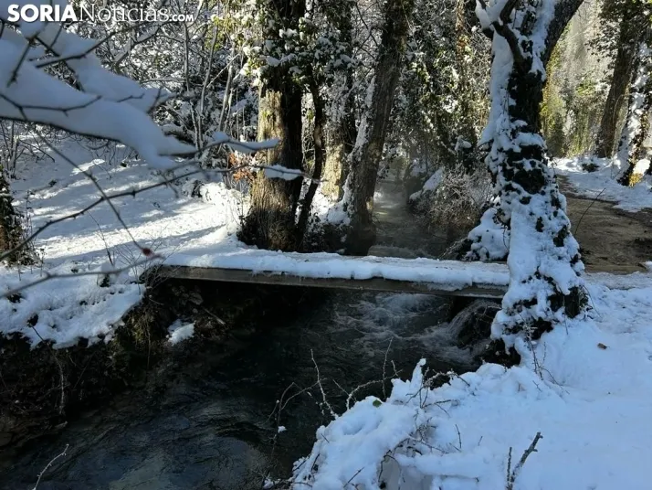El entorno de la Toba
