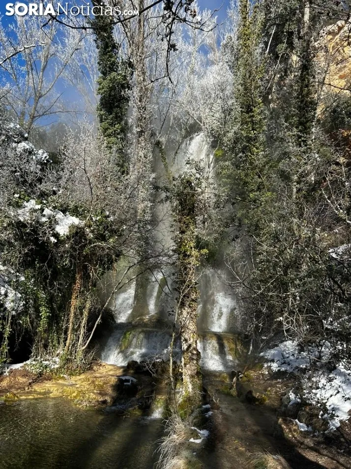 El entorno de la Toba