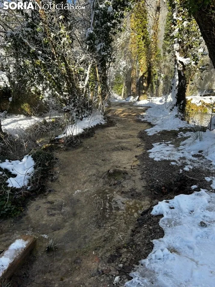 El entorno de la Toba